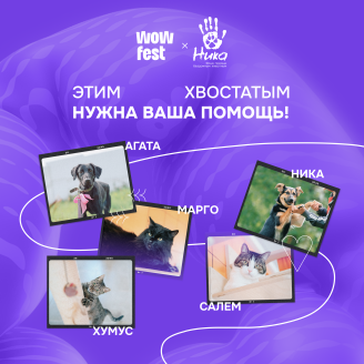 Добрые дела на WOW FEST