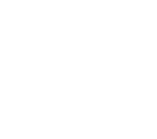 Тайгер