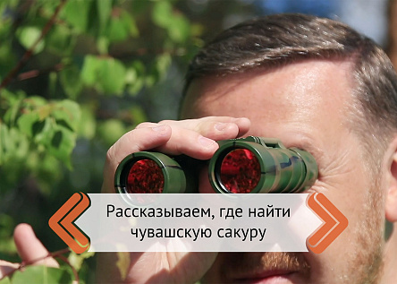Серия видеороликов «Вы останетесь здесь жить»