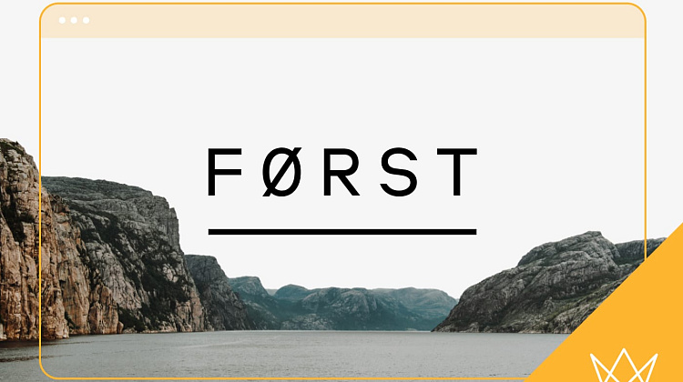 Нордический и легкий сайт FORST