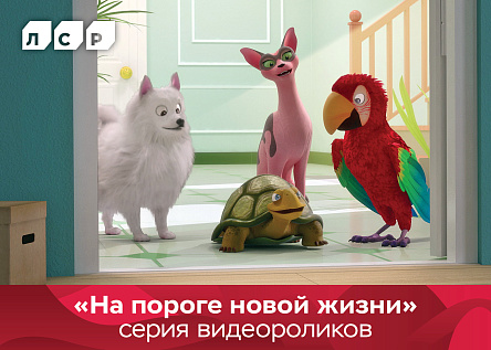 Серия роликов &quot;На пороге новой жизни&quot;