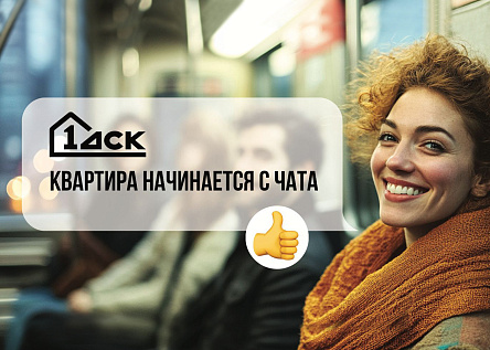 Серия: Квартира начинается с чата