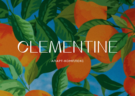 Clementine. Жизнь полна впечатлений!