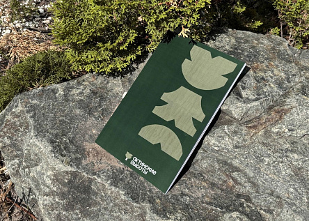 Охтинские высоты