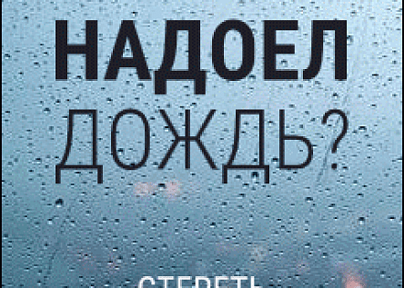 В Neva Towers всегда хорошая погода