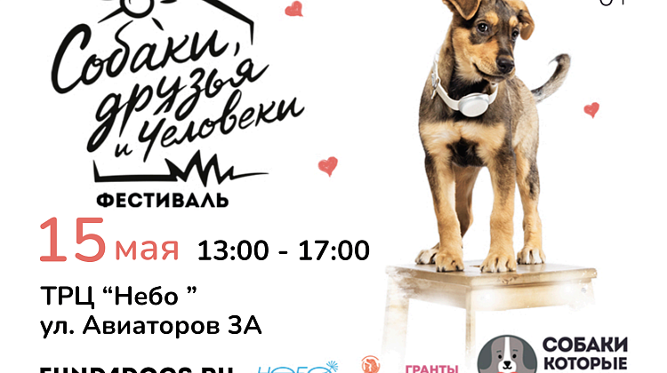 Dog-friendly фестиваль в ТРЦ Небо, г.Москва