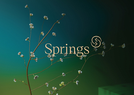 Клубный дом Springs