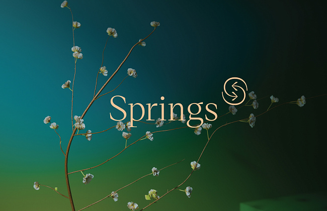 Клубный дом Springs