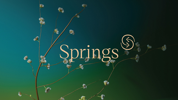Клубный дом Springs