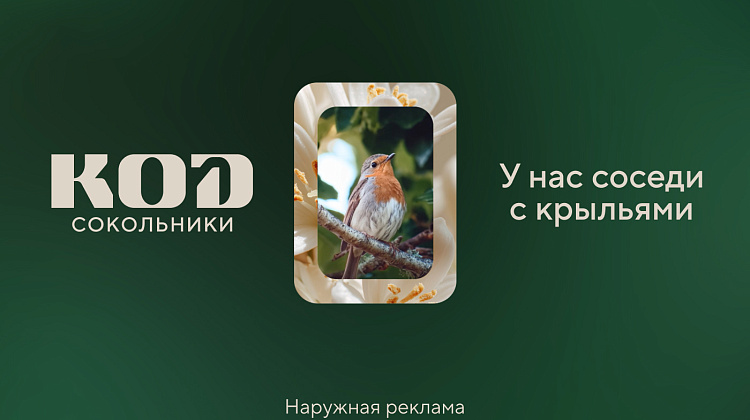 КОД Сокольники | серия макетов «У нас соседи с крыльями»
