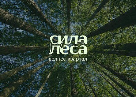 Велнес-квартал «Сила леса»: сильная позиция в слабой локации