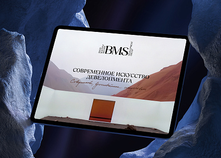 BMS Development Group