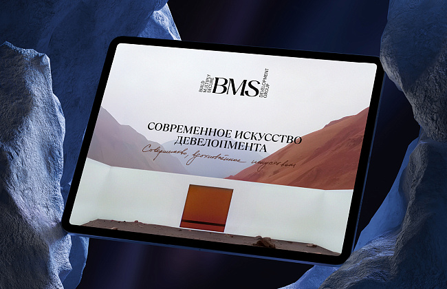 BMS Development Group