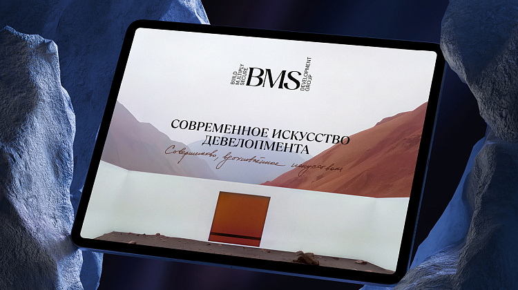 BMS Development Group