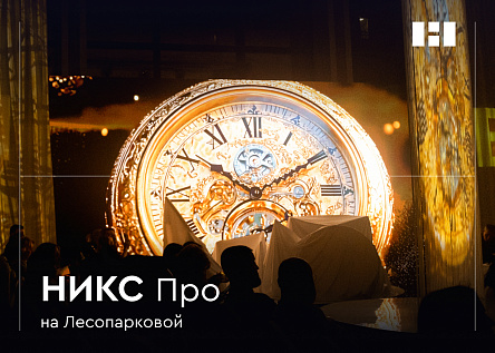 Презентация проекта бизнес-класса «НИКС Про на Лесопарковой»