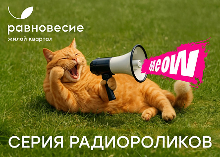 Серия «Равновесие: тут живут котятки»