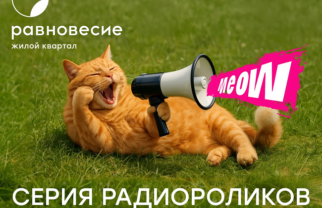 Серия «Равновесие: тут живут котятки»