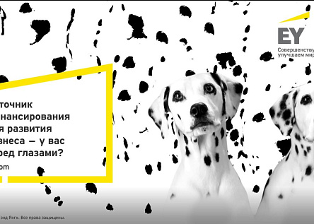 Источник финансирования - у вас перед глазами?