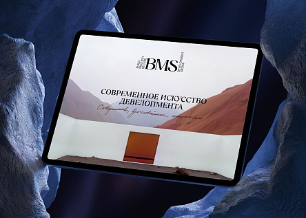Современное искусство ребрендинга: BMS Development Group