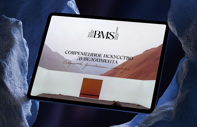 Современное искусство ребрендинга: BMS Development Group