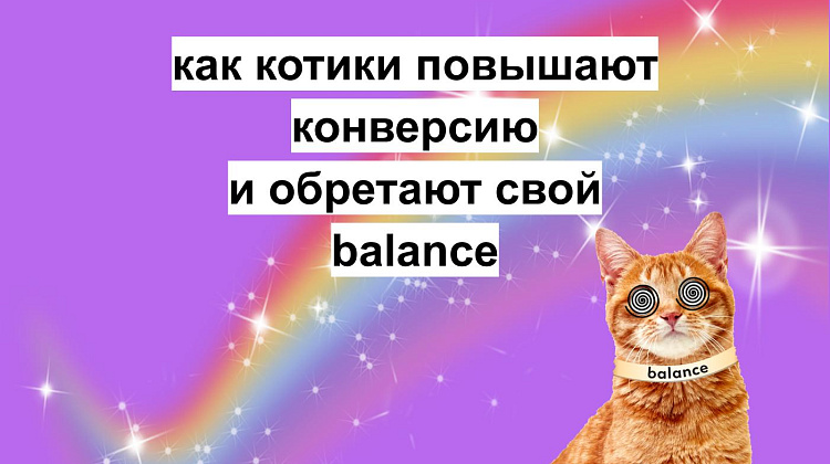 как котики повысили нам конверсию и обрели дом