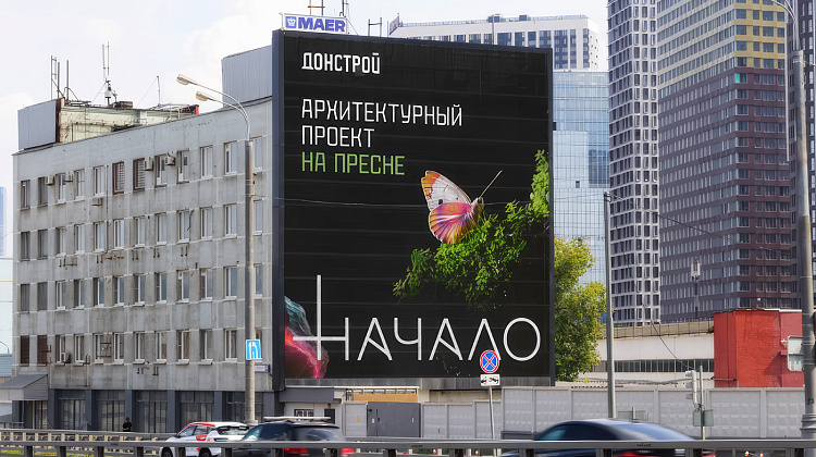 «Жизнь, которая прорастает из камня». Серия макетов