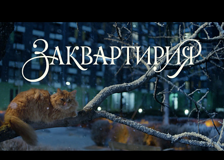 Заквартирия