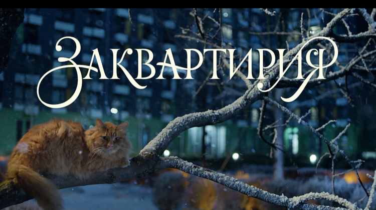 Заквартирия