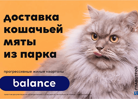 резиновая мышь в подарок (серия)
