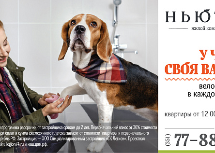 Я выбираю «Ньютон»