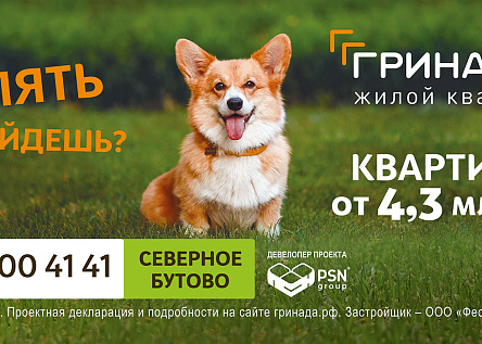 Гулять выйдешь? 