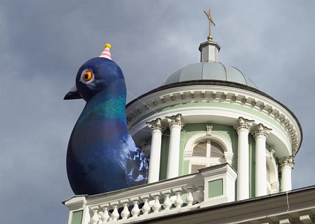 Аннатолий — голубь, который живет в Анненкирхе