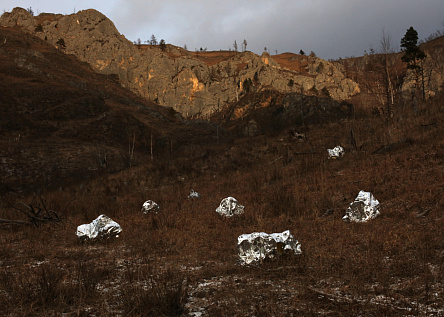Арт-проект «Сбывшиеся»